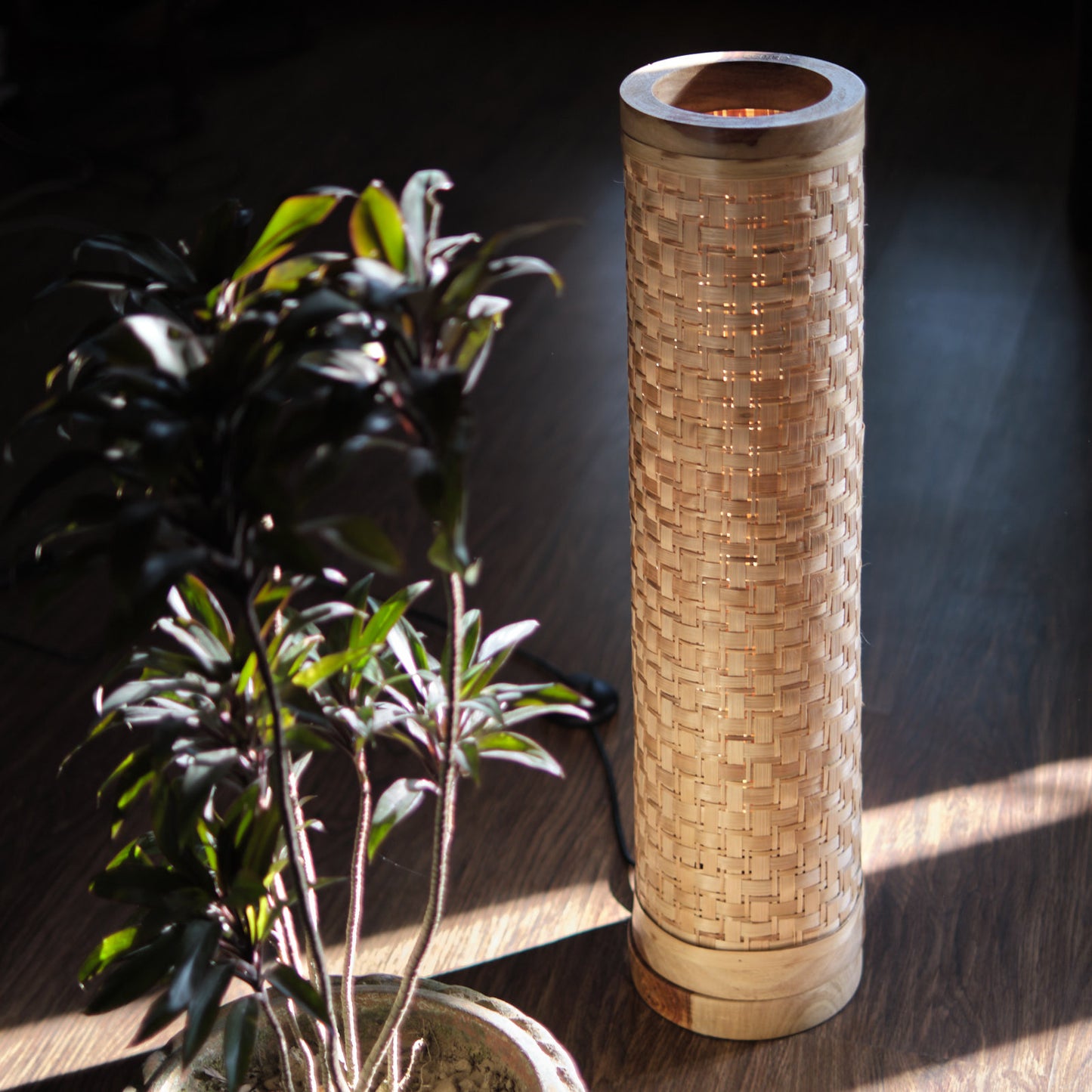 Modern Floor Lamp